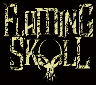 Imagen o logo de Flaming Skull